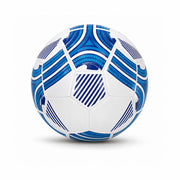 Repx Training Pro